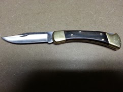 Buck 110 in Great Shape for Sale.